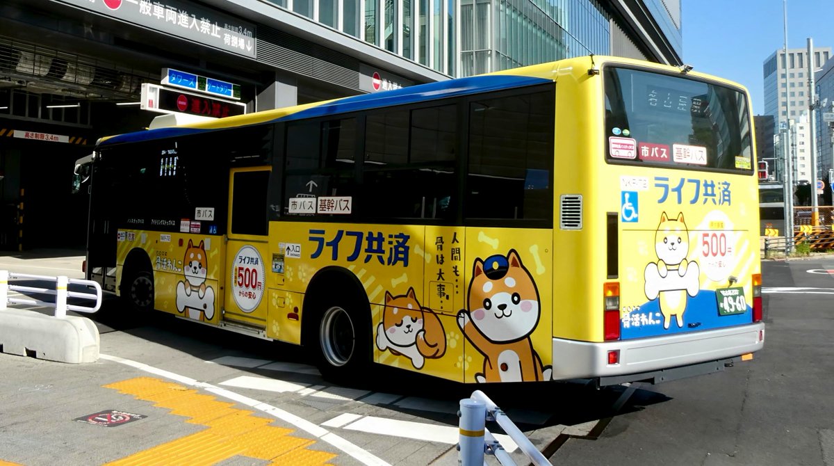 愛知県共済生活協同組合(ライフ共済〜骨活わんこ)[NKF-72] #名古屋