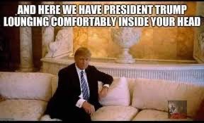 Meatloverspi's tweet photo. @Randaroo1212 https://t.co/o30bvgDFGS