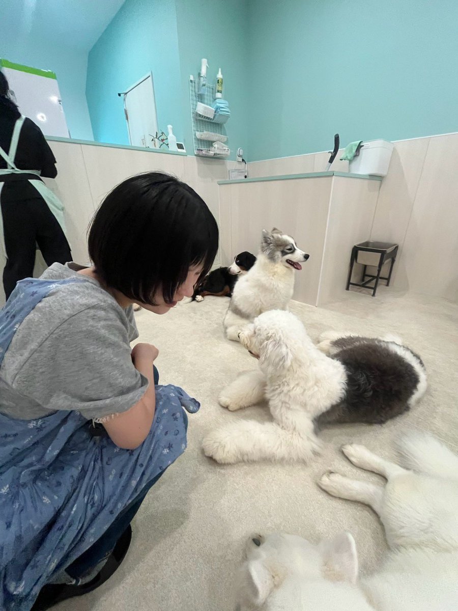 DouXn02's tweet photo. でかいワンコ！神！ https://t.co/ylHCLkHmMy