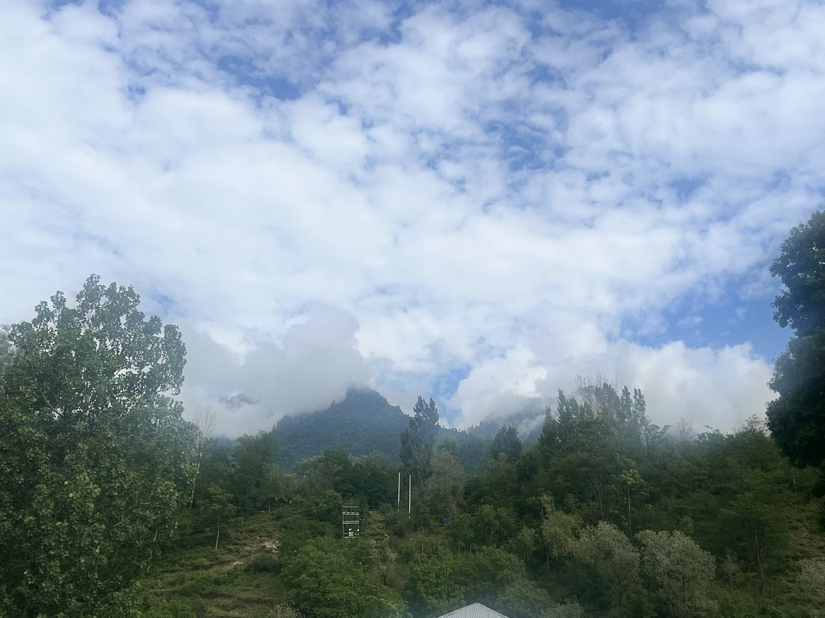 sheikhmudasir's tweet photo. #POV : You thought heaven was just a #metaphor then you drove through #Kashmir https://t.co/FQNUsHPCBY