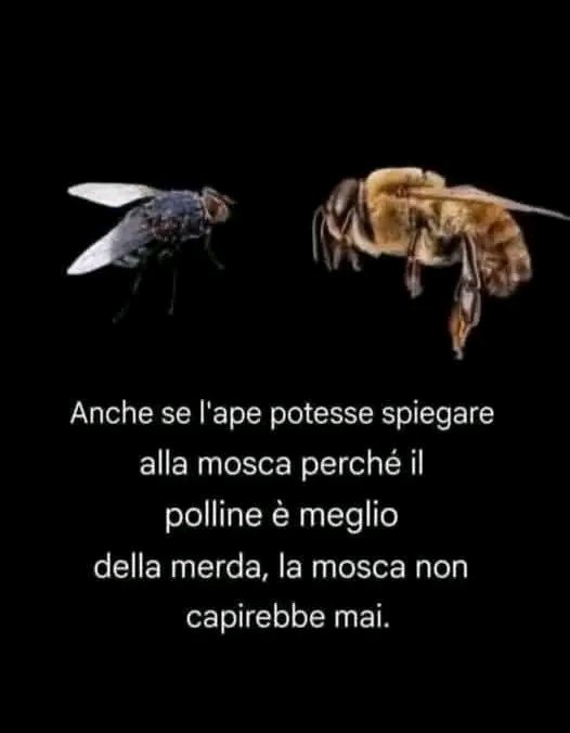 vincispar's tweet photo. https://t.co/NU5a73omjn