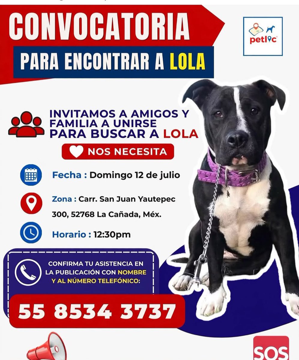 tori_ort's tweet photo. AYUDA A LOCALIZAR A LOLA
su familia sufre por su ausencia y por la incertidumbre que genera saber que no tiene los cuidados necesarios.
COLABORA. https://t.co/thaTTXpAmS