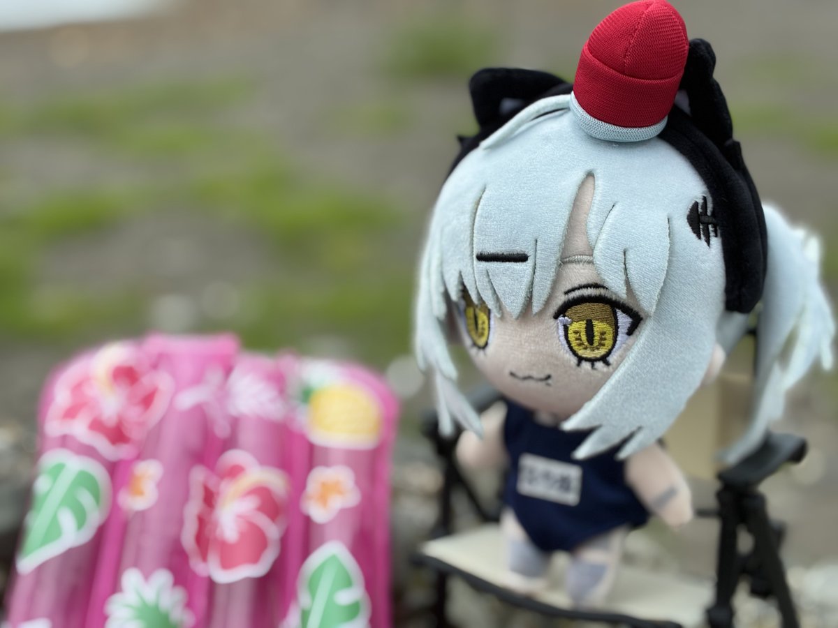 sick_017's tweet photo. 友人が撮ってくれたパト猫ちゃんと、
私がニヨニヨしながら撮ったパト猫ちゃん

機材の差はもちろんあるけど、全然違う表情に見えて面白いんだよなぁ～(ぱとを) https://t.co/IIWgcmWl3t