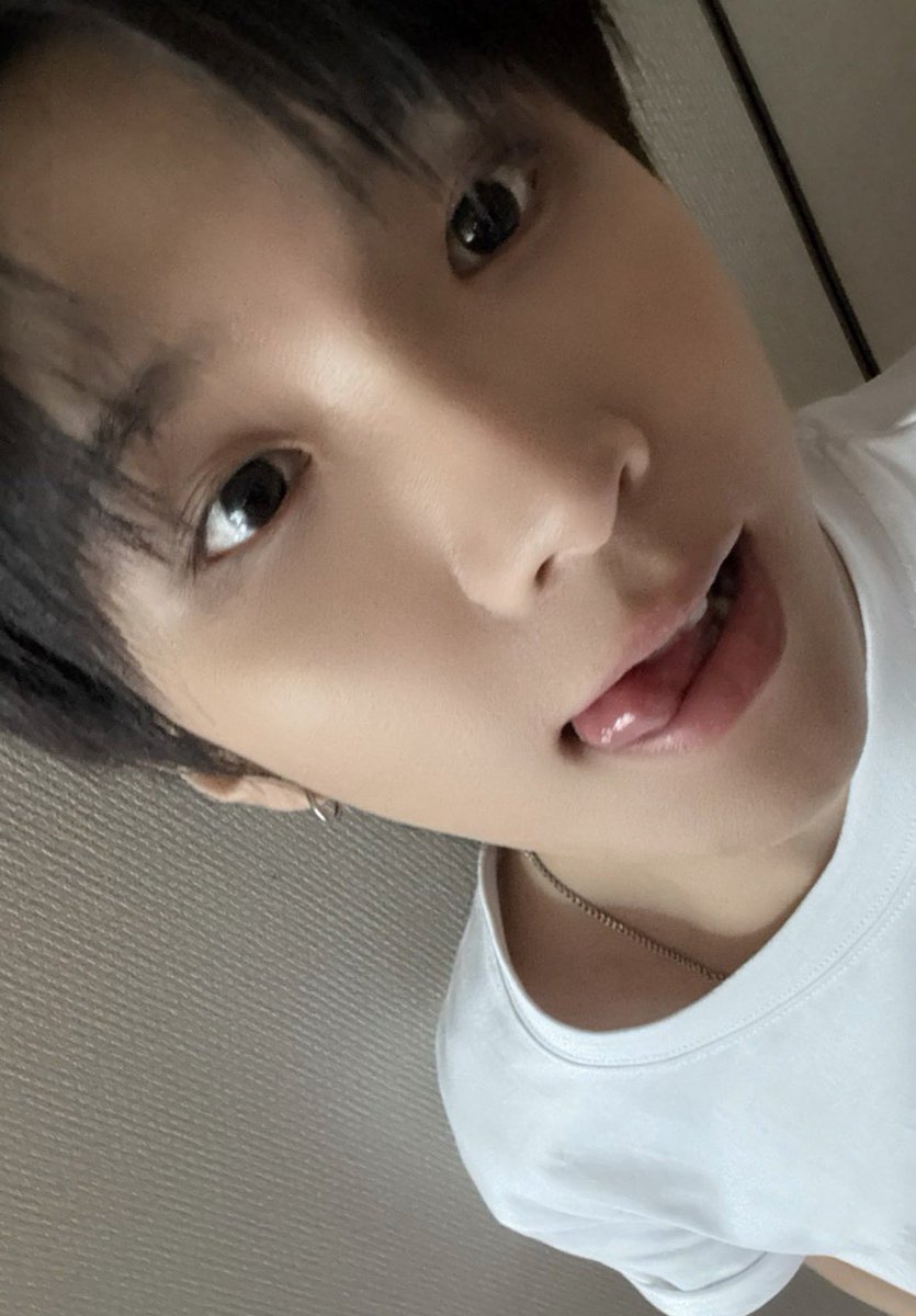 멍태 tweet media