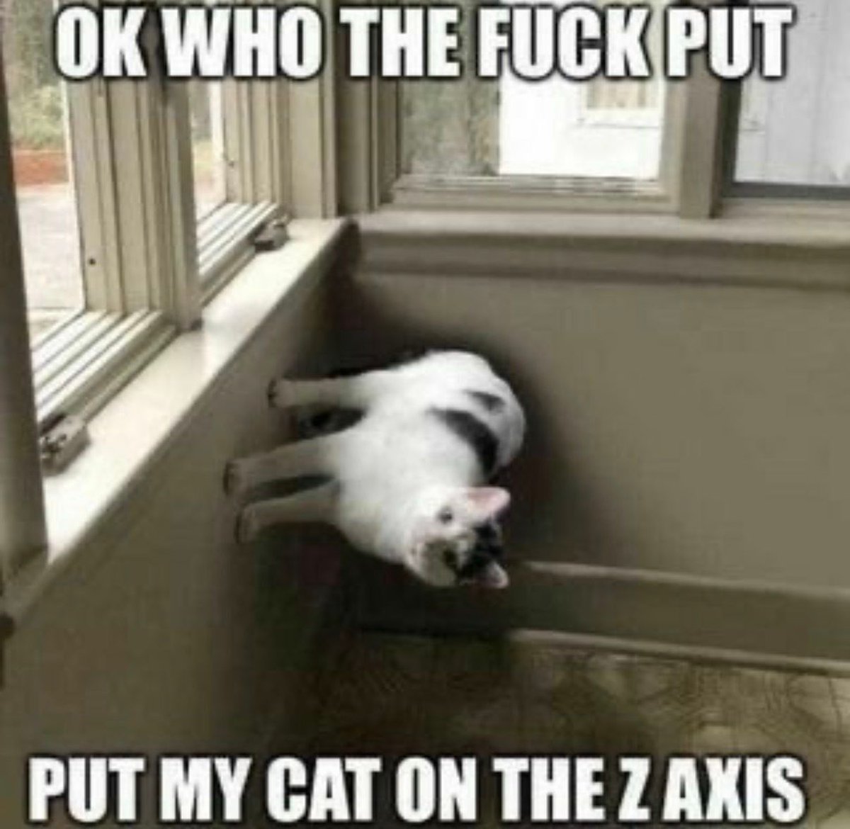nocontextmemes's tweet photo. https://t.co/QgfU2Y5phY