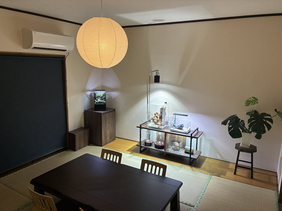 tomoakiueno0223's tweet photo. 和室の天井照明をシーリングライトからペンダントライトに変更。
雰囲気重視で明るさは抑え目です。
水槽のライトもありますしね。
水槽台周り、配線やコンセントが見えないようにしました。スッキリ!
#gex
#gexaquarista
#dooa
#アクアリウム
#和室アクアリウム https://t.co/7UcQITSBq0