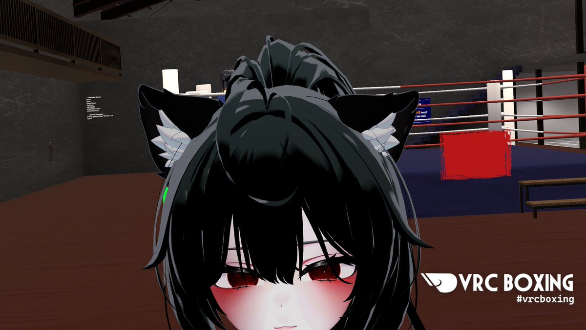 DALMU_00's tweet photo. #vrcboxing #vrchat #NekoPunch
2026 07 26(일) NekoPunch 정규 연습회에 참가했습니다, 다들 고생했습니다!
2026年7月26日、NekoPunchの定期練習会、皆さんお疲れ様でした! https://t.co/oy9my2ip0T