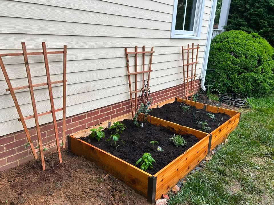 RyanRuzic's tweet photo. Eileen and I put in some new raised beds for our summer garden, so far so good!

#loudouncountyva https://t.co/9MAcx1SS8t