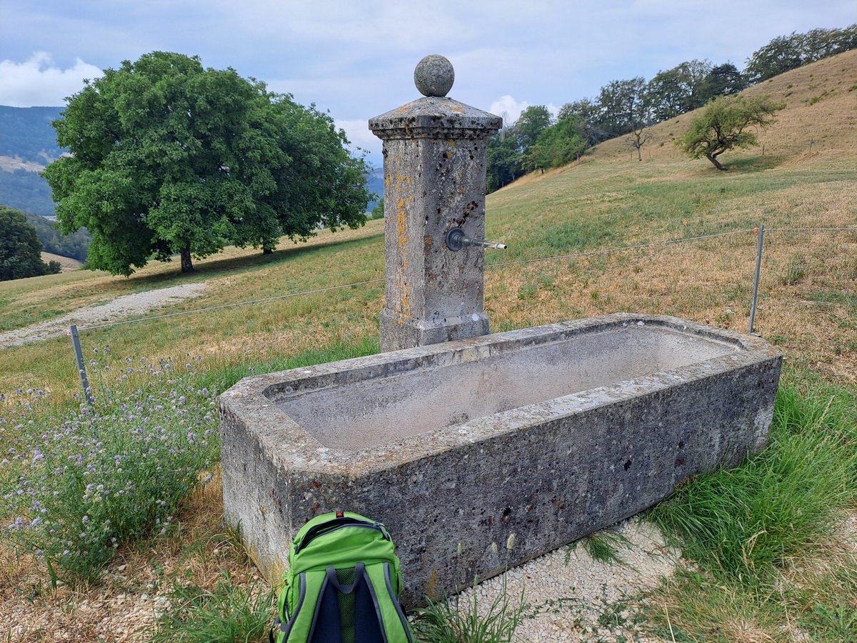 HalbzollZwerg's tweet photo. Die letzten 2 Tage draussen verbracht. Wiesen dürr, Bäume braun und viele Brunnen sind trocken. Das ist nicht gut 😐...und Besserung ist nicht in Sicht 😐... https://t.co/exEUaDqdVS