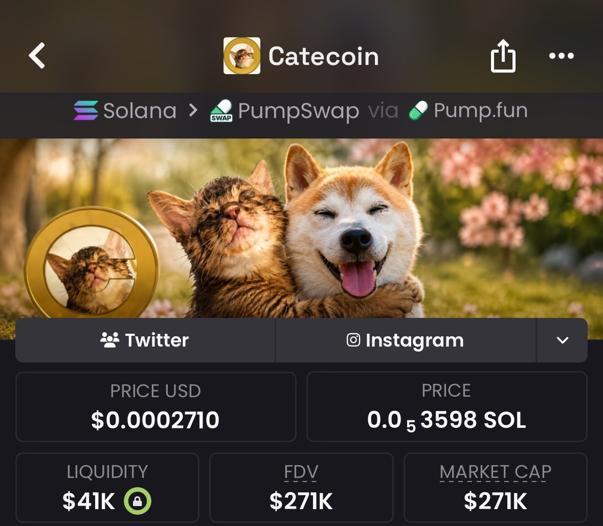 SignalHQT's tweet photo. Preparation met execution, that’s exactly what happened here when i met this coin #catecoin at $37k mcap, now skyrocketed to $271k mcap x9

Ai66LHZG9MCzg1WKdawwqduVAXpNDUuV8M3uyq5ppump

Alot more cooking 
Dont play with the update
Dm to position 

#Solanameme #bitcoin https://t.co/I3gEhjrGp4