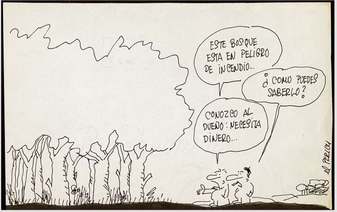 elgranPerich's tweet photo. Cuando un bosque se quema algo suyo se quema, Sr. Conde. https://t.co/5Vc9YZ829T
