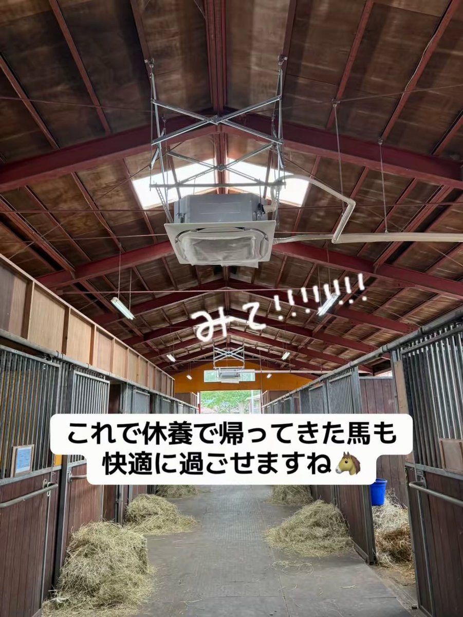 Maverick_010708's tweet photo. BTCの育成牧場にクーラーを導入しました✨
北海道は避暑地ではありますが、
風は涼しいものの日差しはジリジリ🥲☀️

せっかく暑い競馬場から
お休みで帰ってきてくれたのだから
少しでも快適に過ごして欲しくて設置しました✨
馬同士の口コミあったら高評価広めて欲しいなぁ笑

「Maverick快適だったうま。リピートあり🐴」

#北海道
#育成牧場
#競走馬
#サラブレッド
#休養