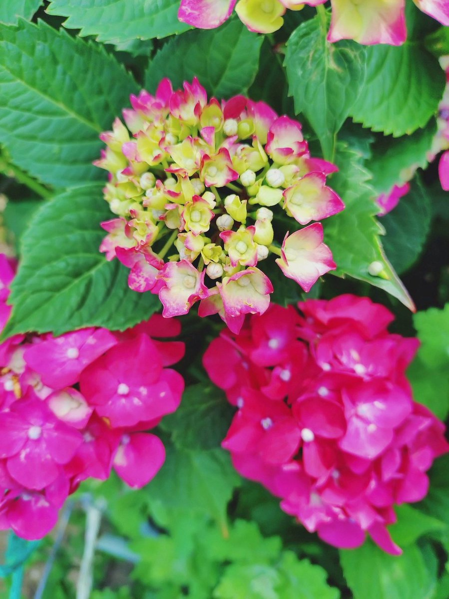 NowMarCom tweet picture