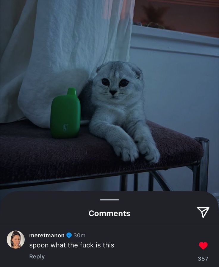 lavender tweet media
