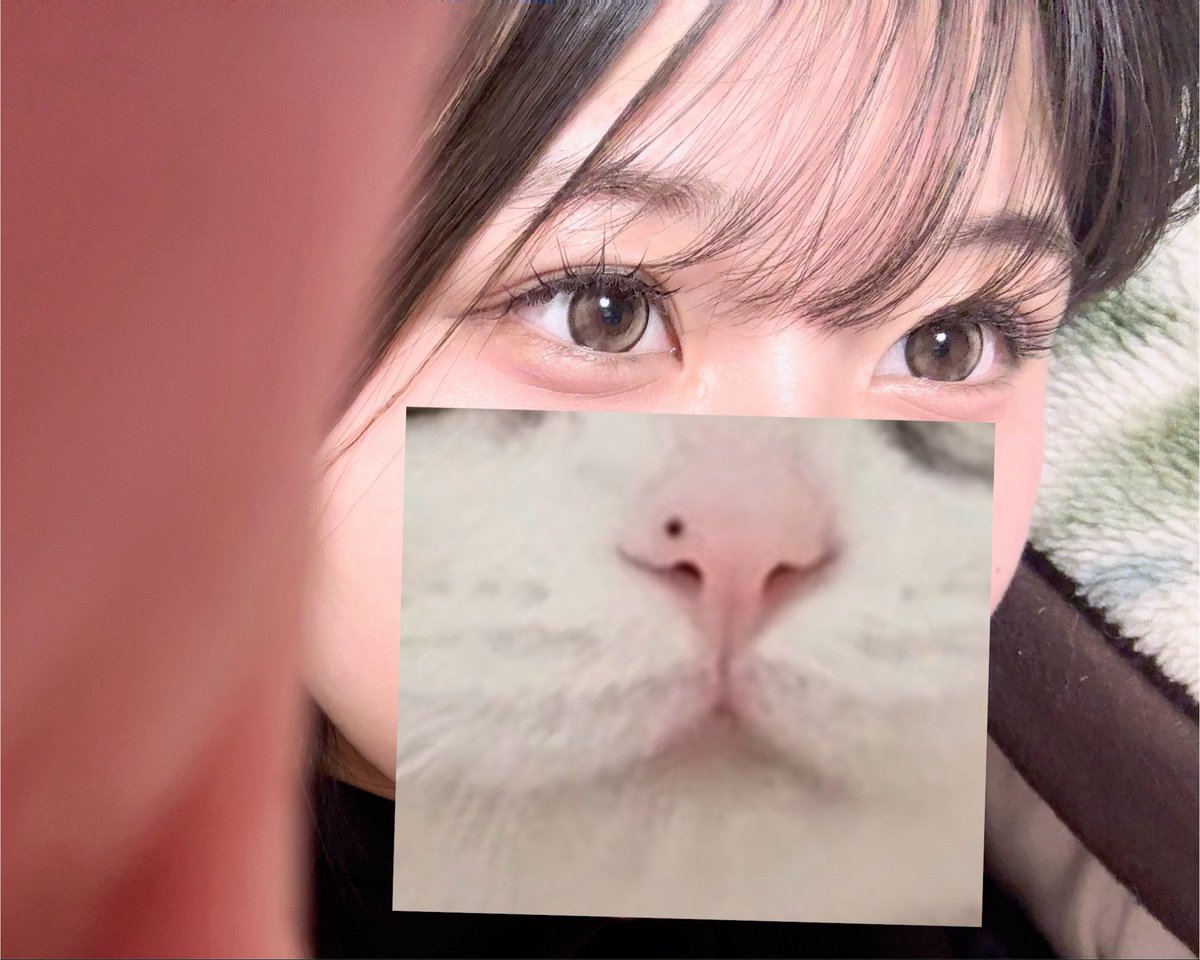 qutagg's tweet photo. かわいいっていって？ https://t.co/UwXlTCyfiu