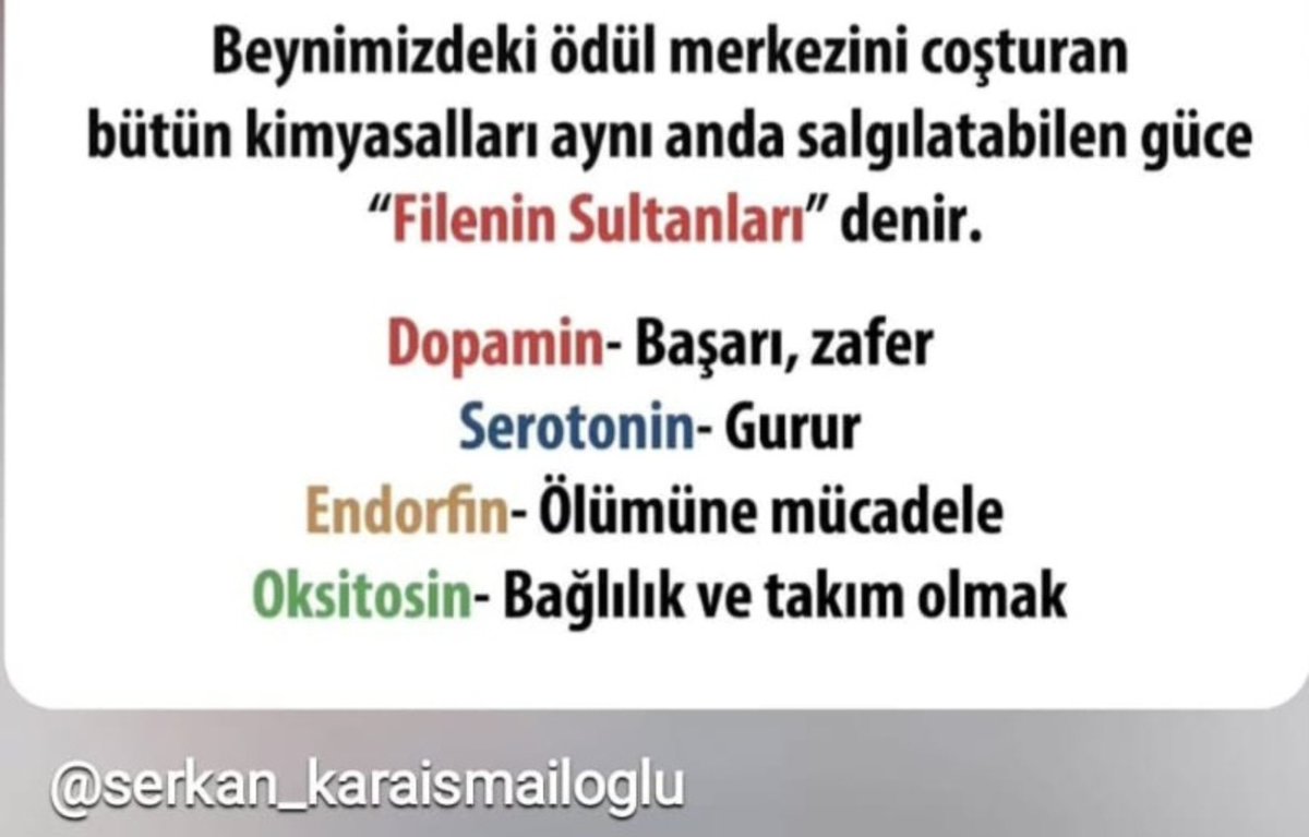 daylight_716's tweet photo. Tam olarak bu👇 https://t.co/liwNFdAYh4