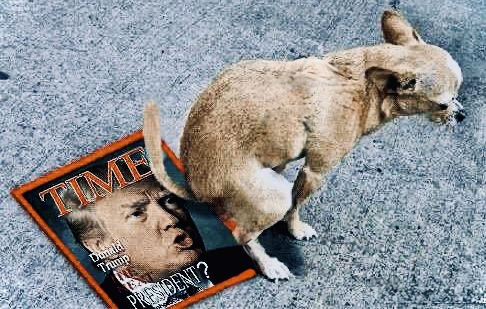 mickermoo2's tweet photo. FUCKKKKKKK TRUMPPPP He is destroying our country and the world. https://t.co/4D0yhqvSQM