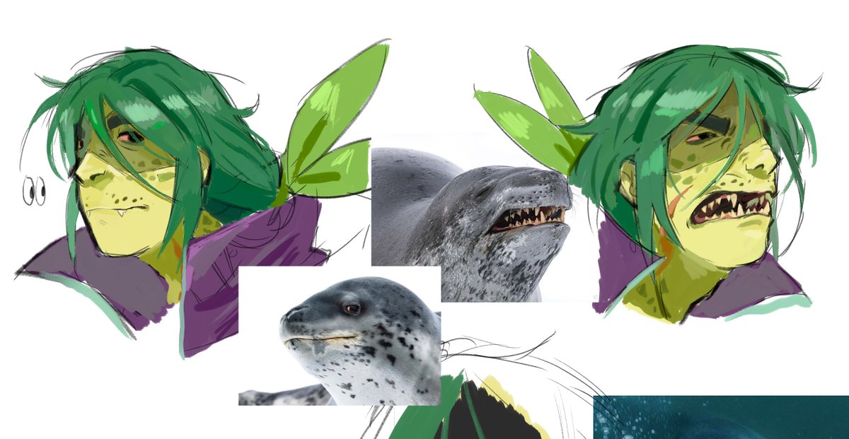 Ryulveon's tweet photo. PROOF that Alli is a leopard seal and not an alligator like the government wants you to think!!!!!!!!!⬇️⬇️⬇️ https://t.co/PLnN5wYHVM
