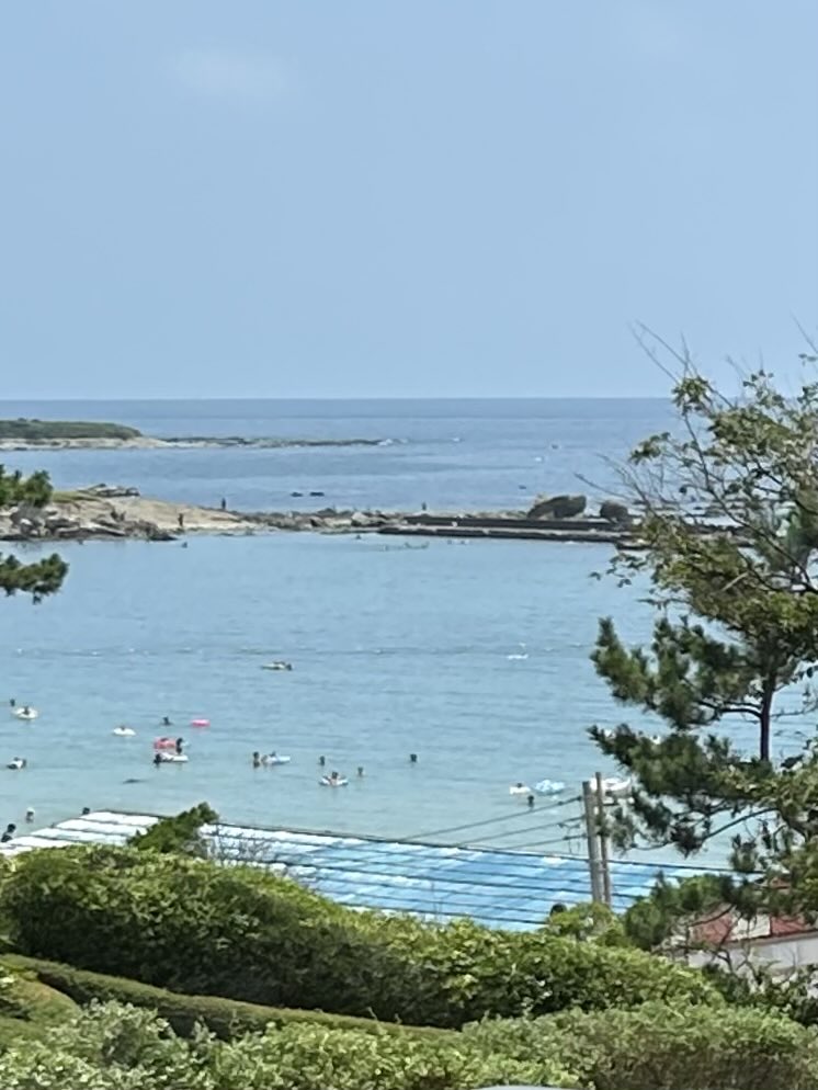 driedfruits_kk's tweet photo. 神奈川県立近代美術館 葉山
もはやない国のかつてない光
東ドイツの女性写真家たち https://t.co/BnLAaT9wOu