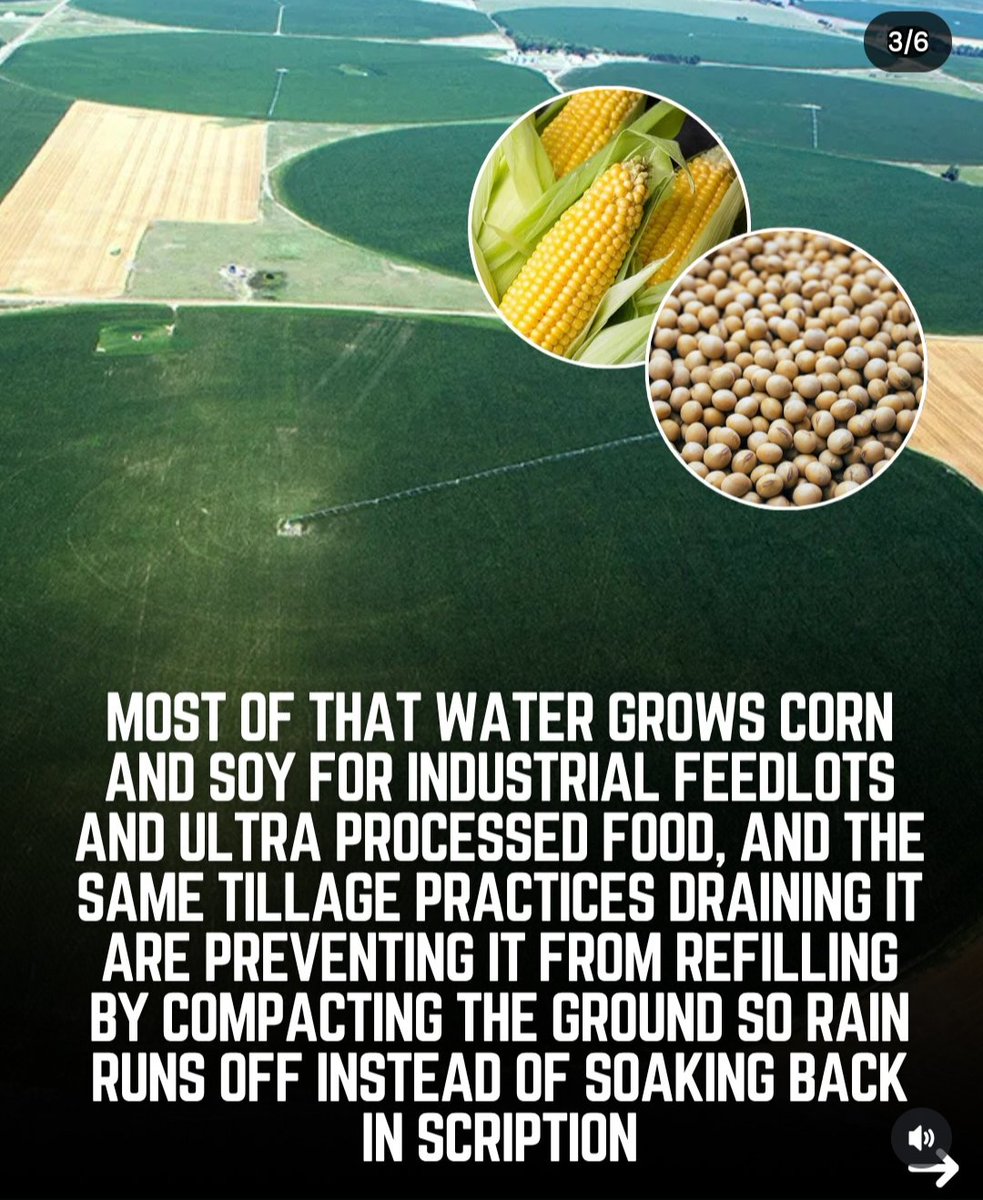 AgroNationalism's tweet photo. https://t.co/5bz4DCqsA2