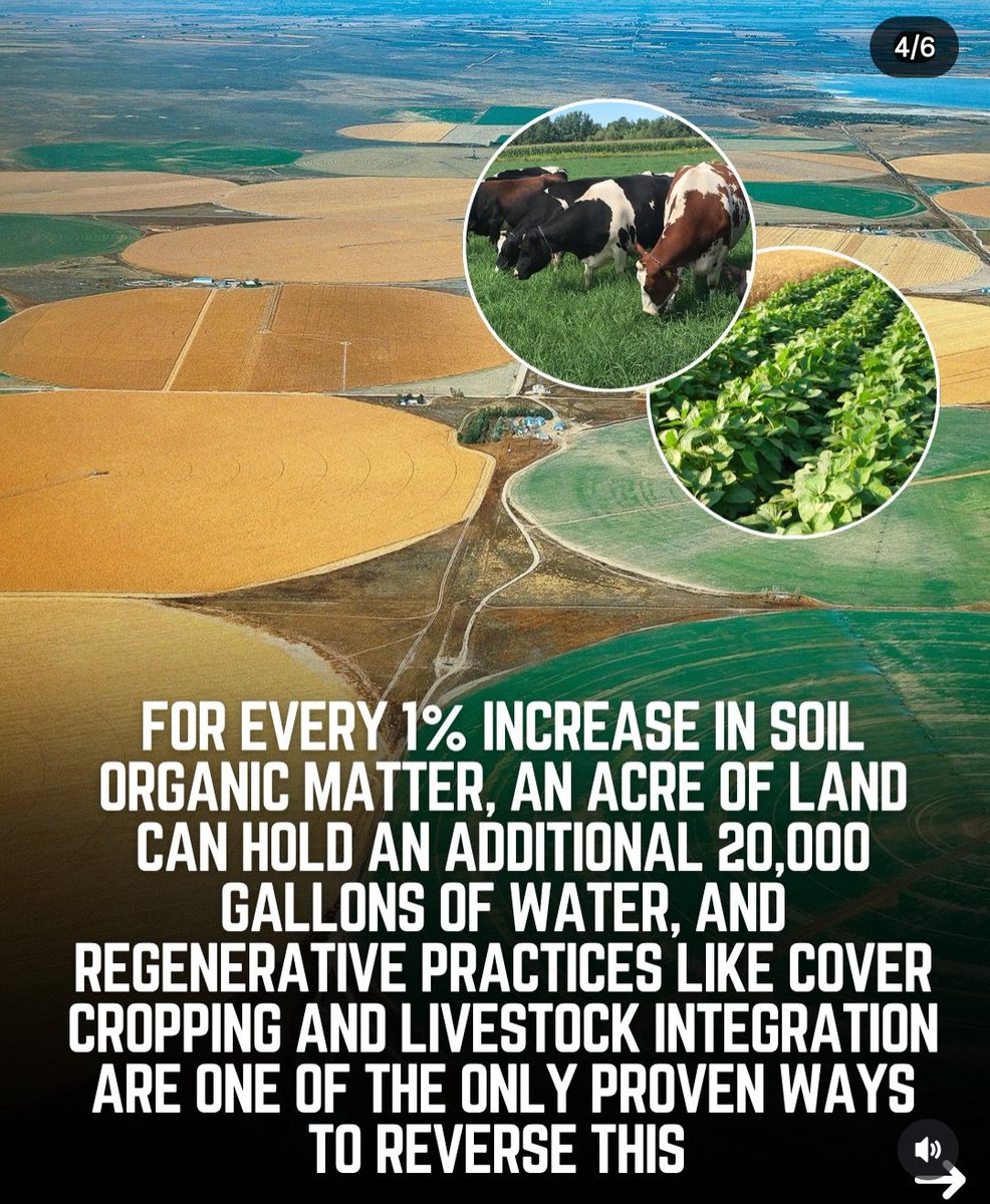 AgroNationalism's tweet photo. https://t.co/5bz4DCqsA2