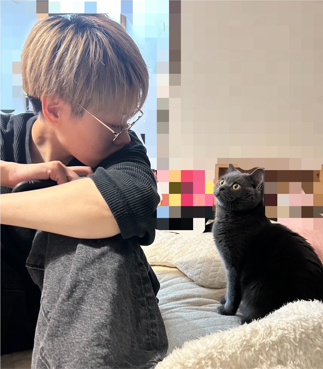 Game002nya's tweet photo. うちとネッコ様、
いつも遊んでもろてます、ハイ。 https://t.co/vg72sY6EYp