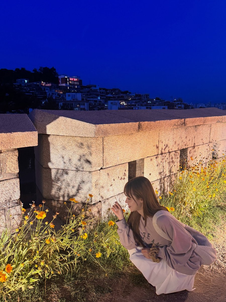 chjungy's tweet photo. whispering secrets to this wildflowers? 🌼🫣 https://t.co/rDkKvGvf3e