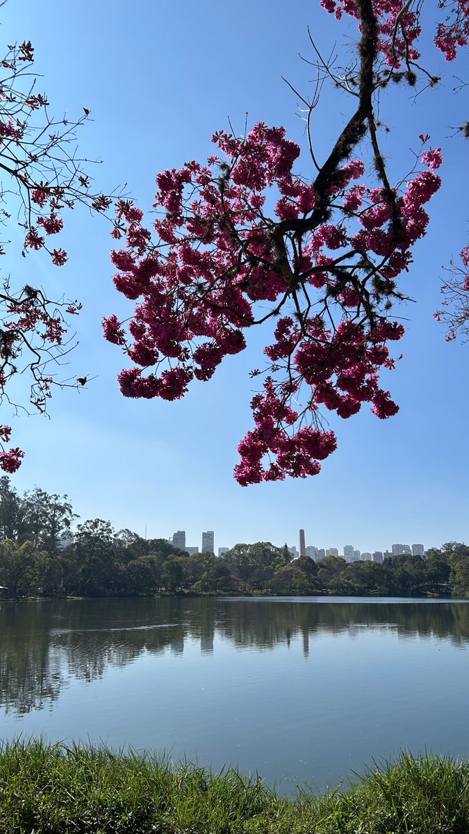 KeesePedro's tweet photo. Minha cidade até que tem seus momentos https://t.co/XJPkHHR8RS