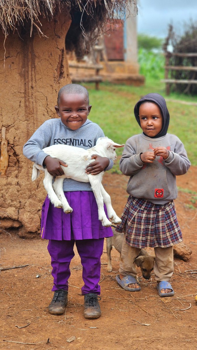 Givegoat's tweet photo. When children hold a goat, they’re also holding possibility. Thank you for helping make moments like this. 
#Tanzania #Donation #Nonprofit #Goat #FoodForHisChildren https://t.co/ttk6L52hPX
