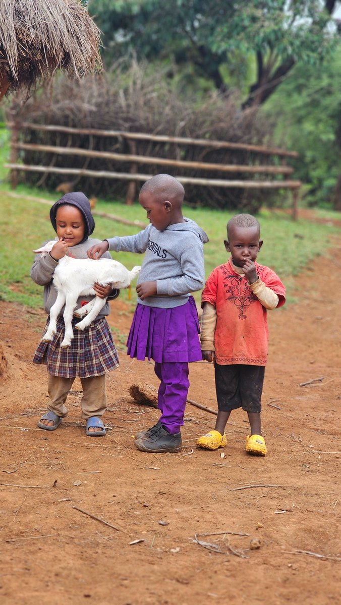 Givegoat's tweet photo. When children hold a goat, they’re also holding possibility. Thank you for helping make moments like this. 
#Tanzania #Donation #Nonprofit #Goat #FoodForHisChildren https://t.co/ttk6L52hPX