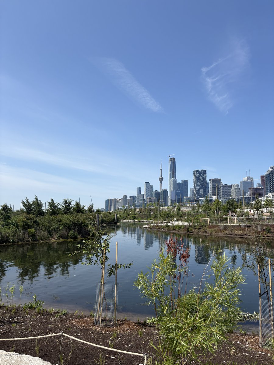 Waterfront Toronto tweet media
