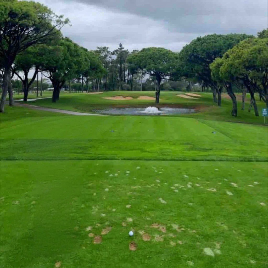 NUCLR GOLF tweet media