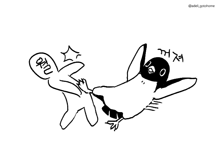 adeli_gotohome's tweet photo. https://t.co/iFbwPNoxdH