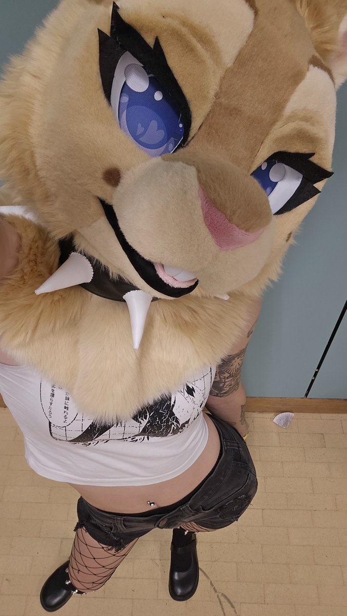 furry_gf's tweet photo. Punk bunny🖤🐇 https://t.co/PlNd2gLDts