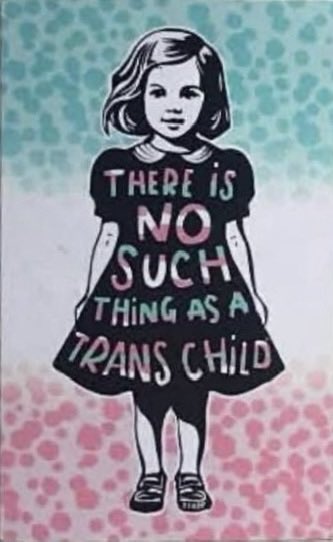 Az1978In41572's tweet photo. @RigoIrizarry #transkids don’t exist !
#protectthekids https://t.co/jz5OMhH7s1