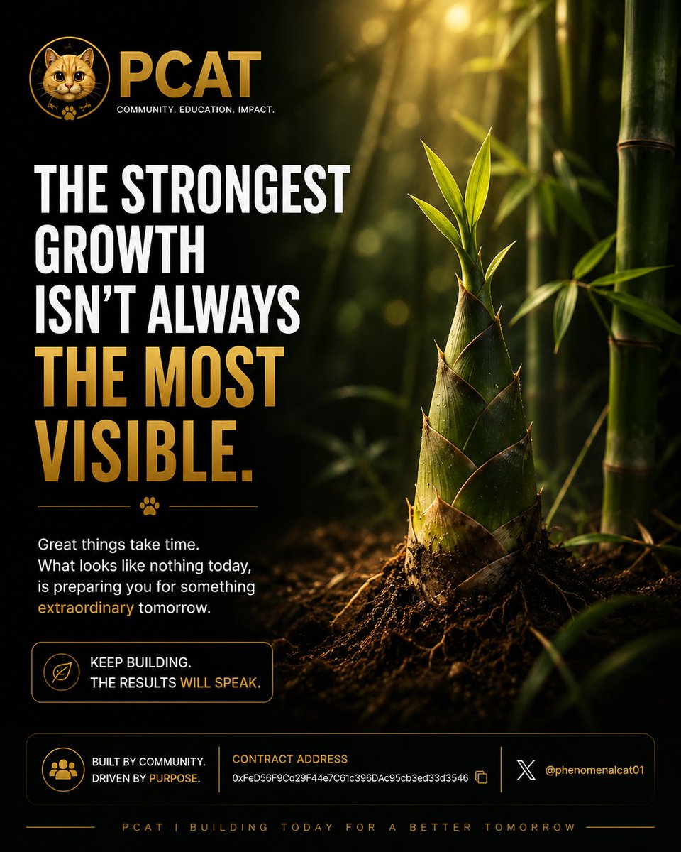 phenomenalcat01's tweet photo. Not every season looks like growth.
Some of the most important work happens beneath the surface, where patience, vision, and consistency build the foundation for what's to come.
The strongest roots are often the least visible.
We Keep building.
#PCAT #Community #Utility https://t.co/QjPPvwQRZy