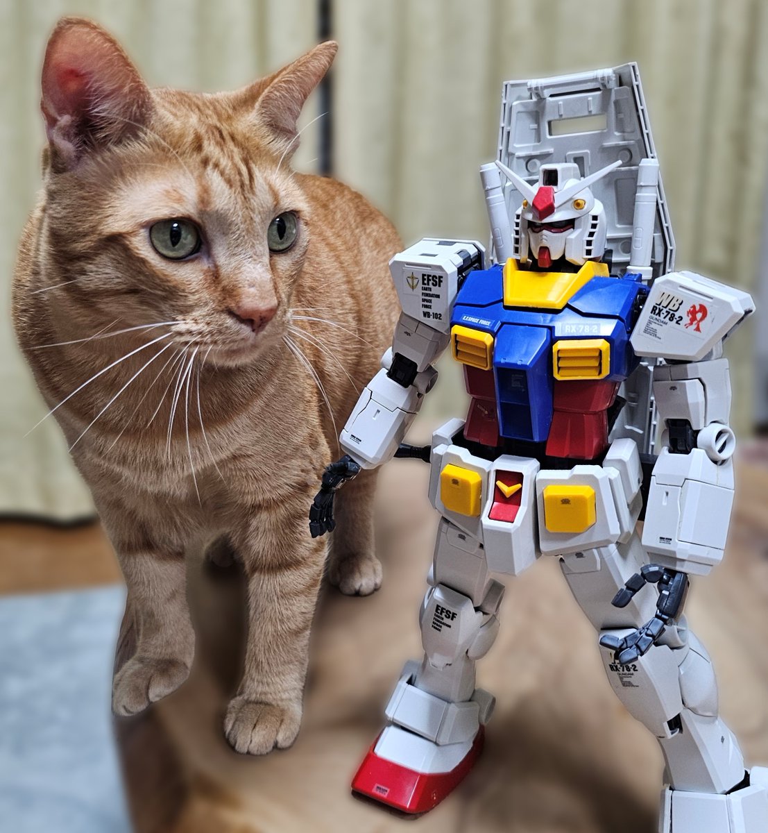 hiro_morinaga's tweet photo. パーフェクトグレードガンダムと猫。 https://t.co/FOL4GWYCP4