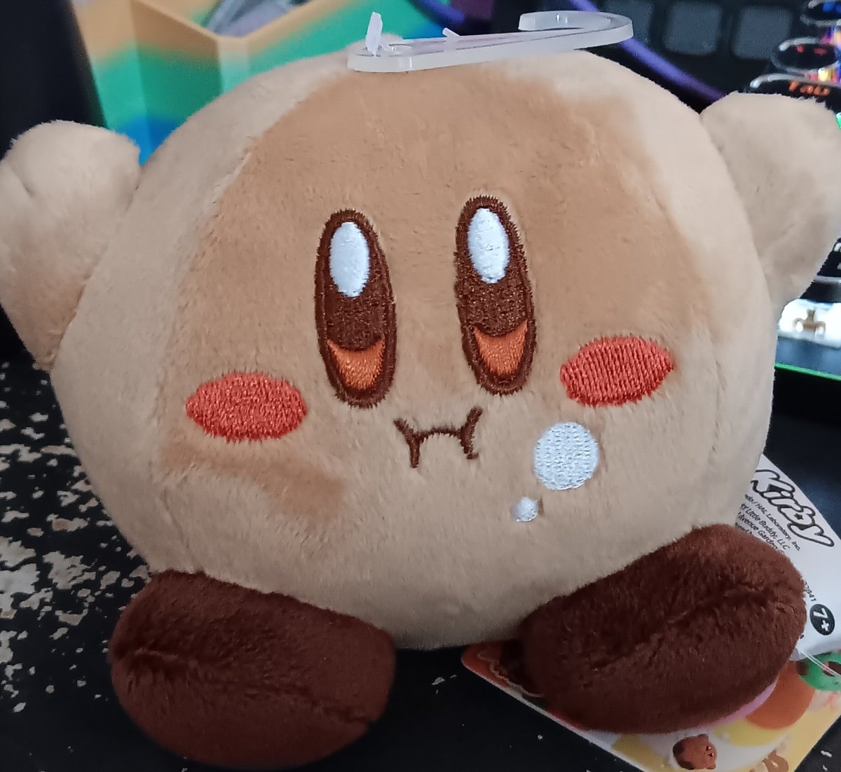 TheNextGenHero1's tweet photo. I got a cute choco kirby plush for my birthday LOOK AT HIM https://t.co/7TCJxY0PPV