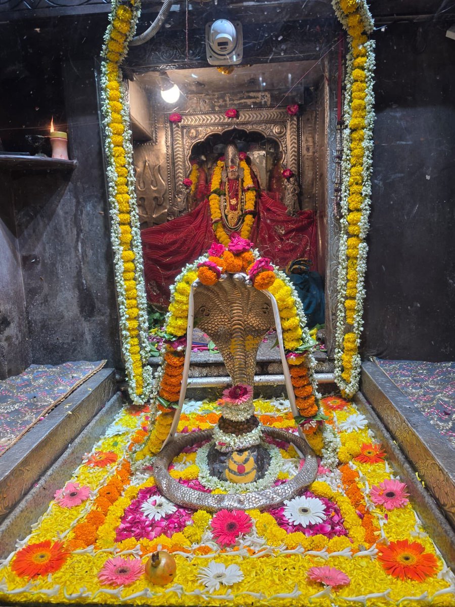 12Jyotirling's tweet photo. श्री ॐकारेश्वर ज्योतिर्लिंग संध्याकालीन आरती श्रृंगार | 26.07.2026

Shri Omkareshwar Jyotirlinga Evening Aarti Shringar | 26.07.2026 https://t.co/a4b2IdRdc6
