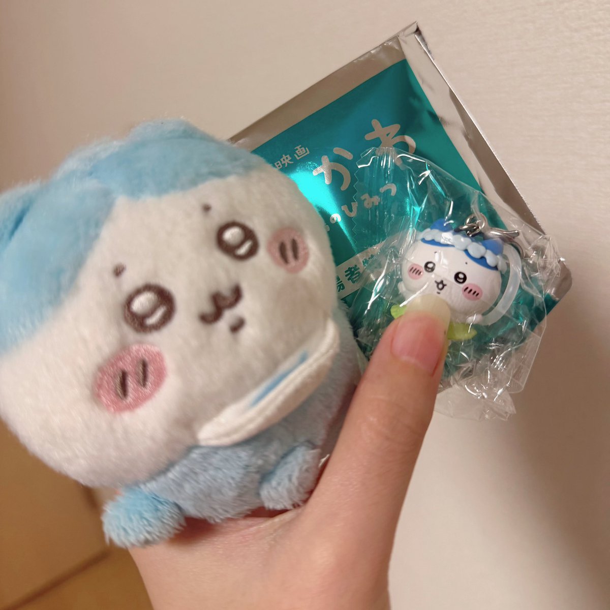 yogsqq's tweet photo. ハチワレちゃん自引きできたー🥲🩵 https://t.co/nsbB9Xwply