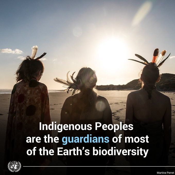 UNGeneva's tweet photo. By safeguarding key ecosystems that act as carbon sinks &amp; protect biodiversity, #IndigenousPeoples provide an environmental service to the rest of the world.

Their rights must be fully recognized &amp; their knowledge be integrated into climate policy.

https://t.co/HkVEx7tP0H https://t.co/Rxkzs27dm4