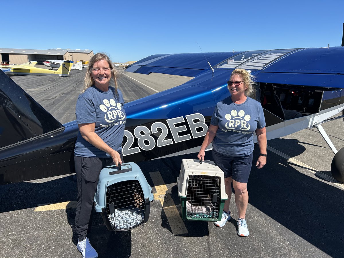 PilotsNPaws's tweet photo. 8 pups nearly turned over to a shelter &amp; likely  euthanized were saved by Ranch Paws Rescue in Brentwood, CA. PNP pilot Captain Eddie Berry, whose done Freedom Flights since 2018 provided their flight. All are adoptable @ranchpawsrescue@gmail.com
#animalrescue #ranchpawsrescue https://t.co/5dDZlon5Mv