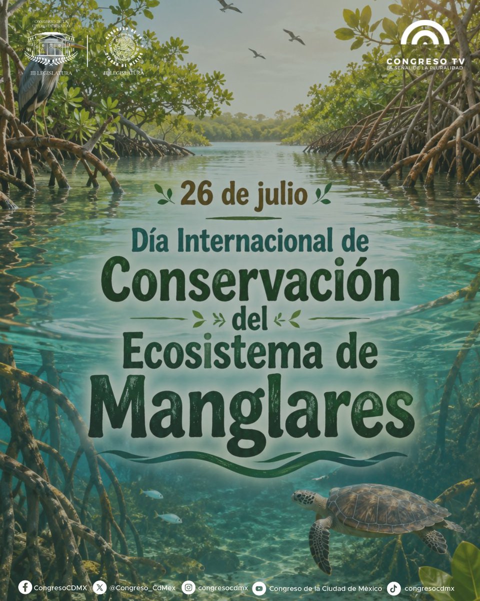 Congreso_CdMex's tweet photo. 🏛️🌊🌱Los manglares desempeñan un papel fundamental en la protección de las costas, la conservación de una gran diversidad de especies y el equilibrio ambiental. Esta fecha invita a fortalecer las acciones para su preservación. 🌎 https://t.co/eTagwK9UF4