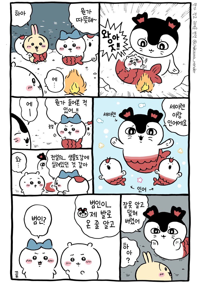 ruru_dev's tweet photo. 세이렌 오동통통해서 너무 귀여워 귀 모양도 귀엽고 쳐진 눈썹도 귀엽고 죄 없는 치이카와족들에게는 상냥하다는 점도 귀여워 세이렌 조물조물 하고 싶어 https://t.co/IJzOVKd7JR
