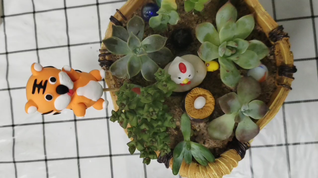 RobTrone6dte's tweet photo. Just turned my old glass jar into a cute succulent planter! No fancy tools needed—perfect small space green decor. https://t.co/aXuJ8CLt9L
