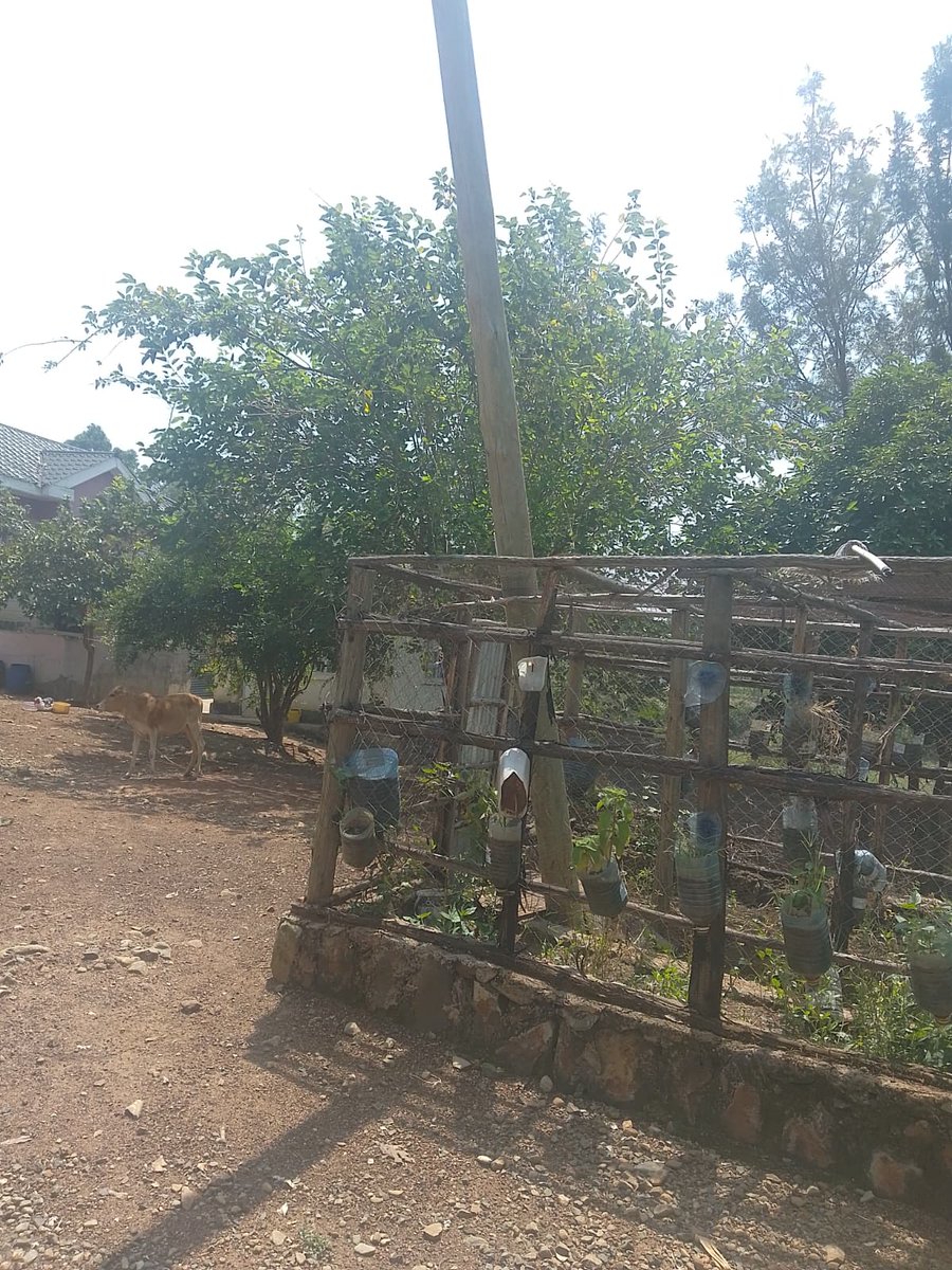 nnyarach's tweet photo. @KenyaPower_Care Nothing has been done! We have a leaning pole!!!!! Problem https://t.co/vblvR4RxAP