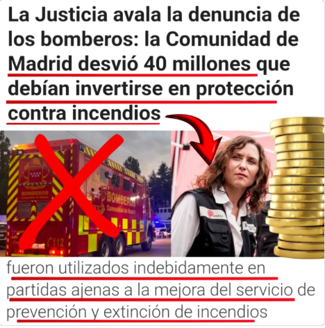 Pepsina_Mataro's tweet photo. Ayuso, Feijóo i Mazón 
La mateixa merda són

Seguint les directrius d'Aznar 
segur que et poden arruinar

Sols hi ha una manera d'aturar-los 
No caure en el parany de volar-los

Sembla una gran xorrada 
Però ja hi ha molta gent cremada

INDEPENDÈNCIA
🟨❤️🟨❤️🟨❤️🟨❤️🟨 https://t.co/DVvfXecwKd