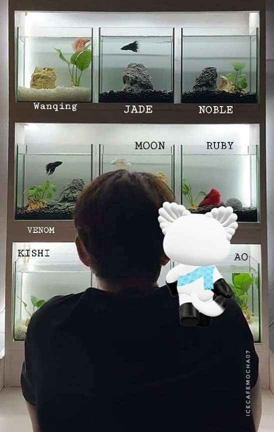 icecafemocha07's tweet photo. 😰😰 Missing of Ruby's name... 
*edited picture https://t.co/pVmDai480O