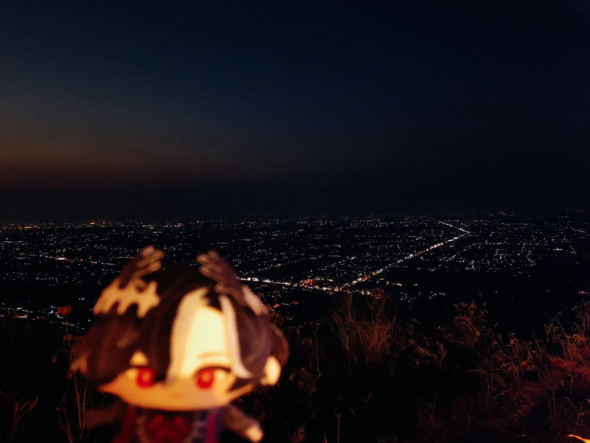 floswords's tweet photo. This little guy enjoying the view #papenaris https://t.co/nsq4XJKkR6