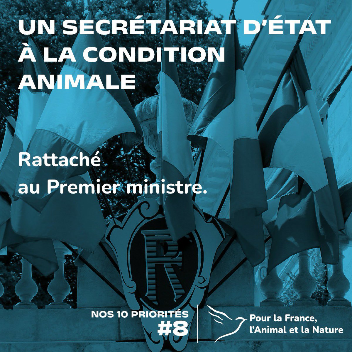 Parti_PFAN's tweet photo. Nos 10 priorités !

8/10 : un secrétariat à la condition animale, rattaché au Premier ministre. 

Le secrétariat d'État correspond au meilleur paradigme entre réunion, action et coopération. Plus d'informations dans les jours qui viennent !

https://t.co/h4lLbsI3Zn https://t.co/3EYLWqIzhT